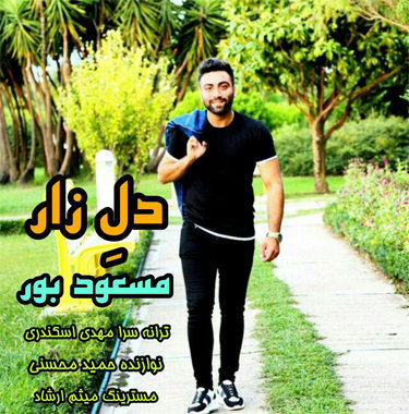 مسعود بور دل زار